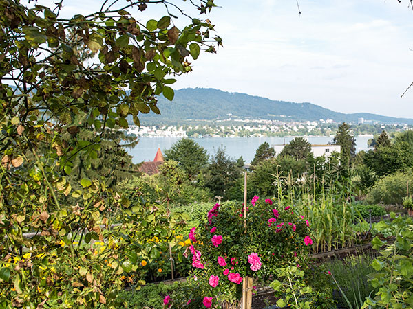 Bild vom EPI Areal mit Aussicht auf den Zürichsee
